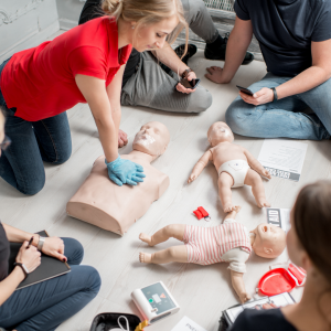 Several people sitting on the floor practicing CPR on training dummies